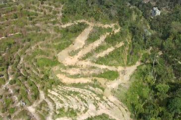 Desa Damai Bentong , Desa Damai, Raub, Pahang