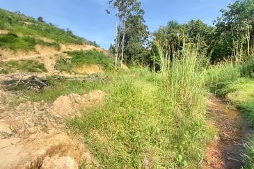 Desa Damai Bentong , Desa Damai, Raub, Pahang