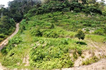 Tras Raub, Musang King, Durian Land Tras, Raub