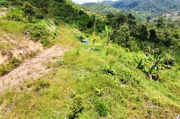 Tras Raub, Musang King, Durian Land Tras, Raub