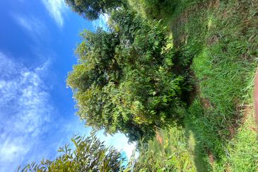 Cheroh, Raub Pahang, Cheroh, Raub Pahang, Raub