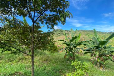 Cheroh, Raub Pahang, Cheroh, Raub Pahang, Raub