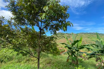 Cheroh, Raub Pahang, Cheroh, Raub Pahang, Raub