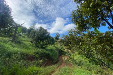 Cheroh, Raub Pahang, Cheroh, Raub Pahang, Raub