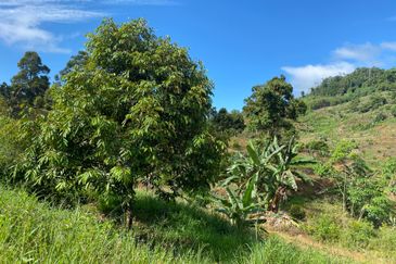 Cheroh, Raub Pahang, Cheroh, Raub Pahang, Raub