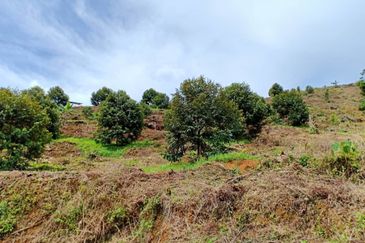 Cheroh, Raub Pahang, Cheroh, Raub Pahang, Raub