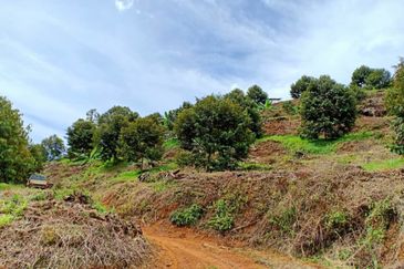 Cheroh, Raub Pahang, Cheroh, Raub Pahang, Raub