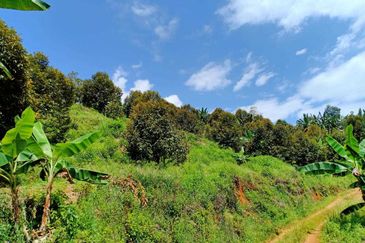 Cheroh, Raub Pahang, Cheroh, Raub Pahang, Raub