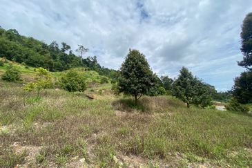 Bentong to Bilut mainroad side, Bentong - Bilut Main road side, Bentong