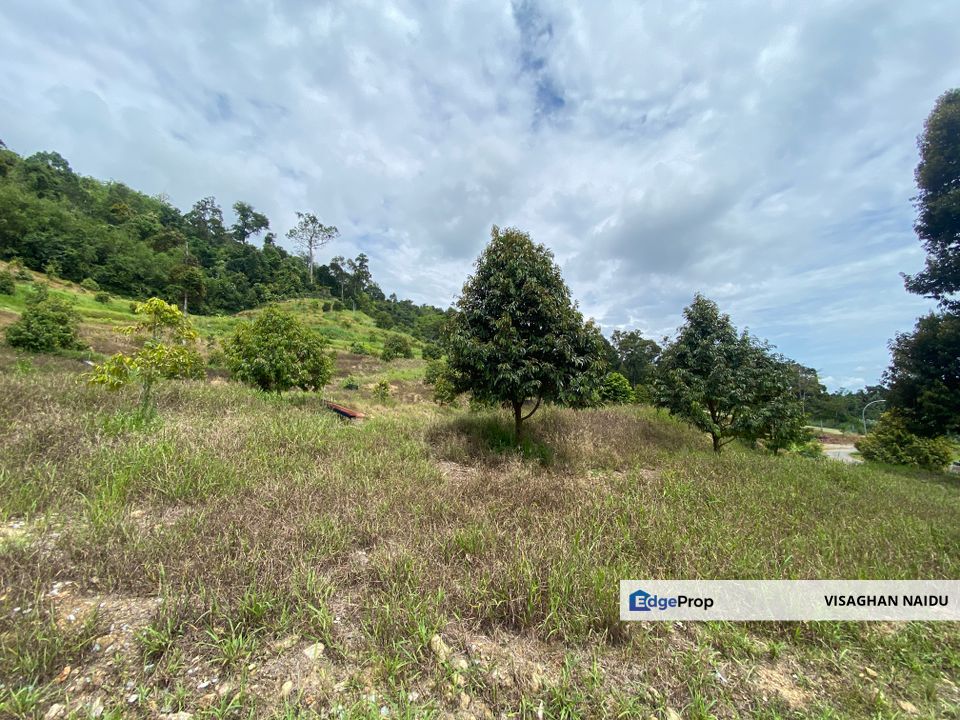 Bentong to Bilut mainroad side, Bentong - Bilut Main road side, Bentong, Pahang, Bentong