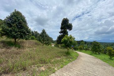 Bentong to Bilut mainroad side, Bentong - Bilut Main road side, Bentong