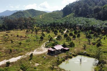Durian Land Raub, Cheroh, Raub, Sang lee, Durian Land, Raub