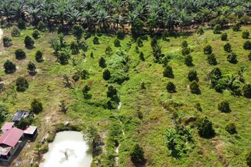 Durian Land Raub, Cheroh, Raub, Sang lee, Durian Land, Raub