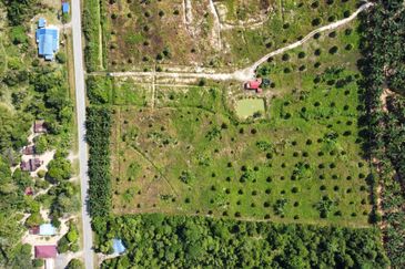 Durian Land Raub, Cheroh, Raub, Sang lee, Durian Land, Raub