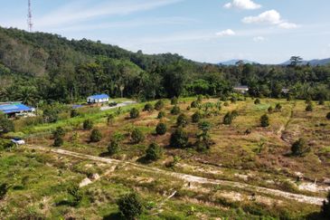 Durian Land Raub, Cheroh, Raub, Sang lee, Durian Land, Raub