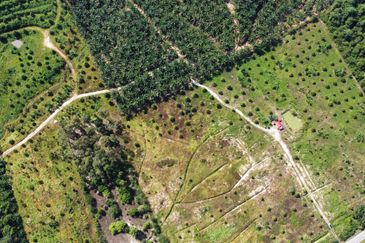 Durian Land Raub, Cheroh, Raub, Sang lee, Durian Land, Raub