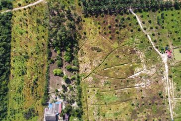 Durian Land Raub, Cheroh, Raub, Sang lee, Durian Land, Raub