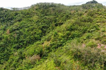 Bentong to Raub Road, Bentong