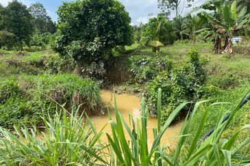 Batu Talam Raub, Batu Talam, Raub Coconut land, Raub