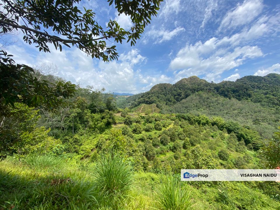 Bilut, Bentong, Sang Lee Raub, Bilut, Sang Lee, Raub , Bentong, Pahang, Bentong