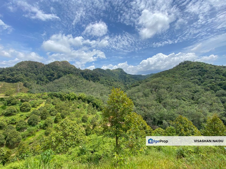 Bilut, Bentong, Sang Lee Raub, Bilut, Sang Lee, Raub , Bentong, Pahang, Bentong