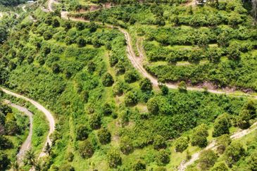 Bilut, Bentong, Sang Lee Raub, Bilut, Sang Lee, Raub , Bentong