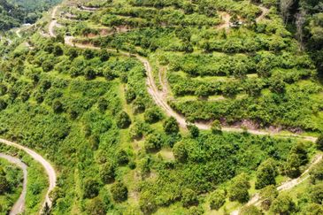 Bilut, Bentong, Sang Lee Raub, Bilut, Sang Lee, Raub , Bentong