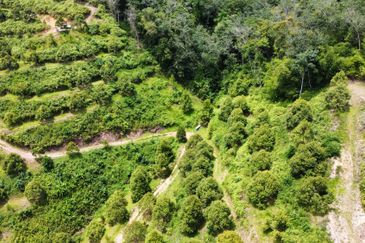 Bilut, Bentong, Sang Lee Raub, Bilut, Sang Lee, Raub , Bentong