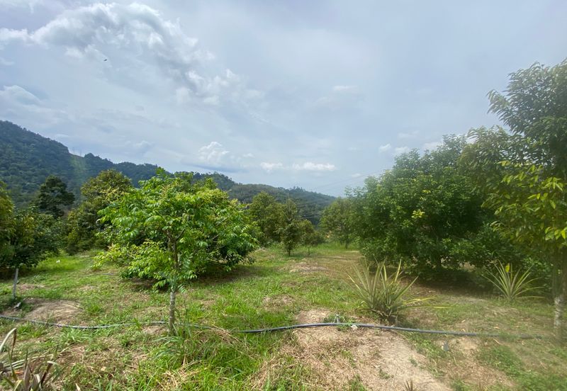 BENTONG TO KL OLD ROAD, BENTONG - KL OLD ROAD, Bentong, Bukit Tinggi 