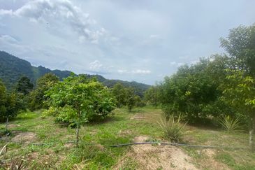 BENTONG TO KL OLD ROAD, BENTONG - KL OLD ROAD, Bentong, Bukit Tinggi 