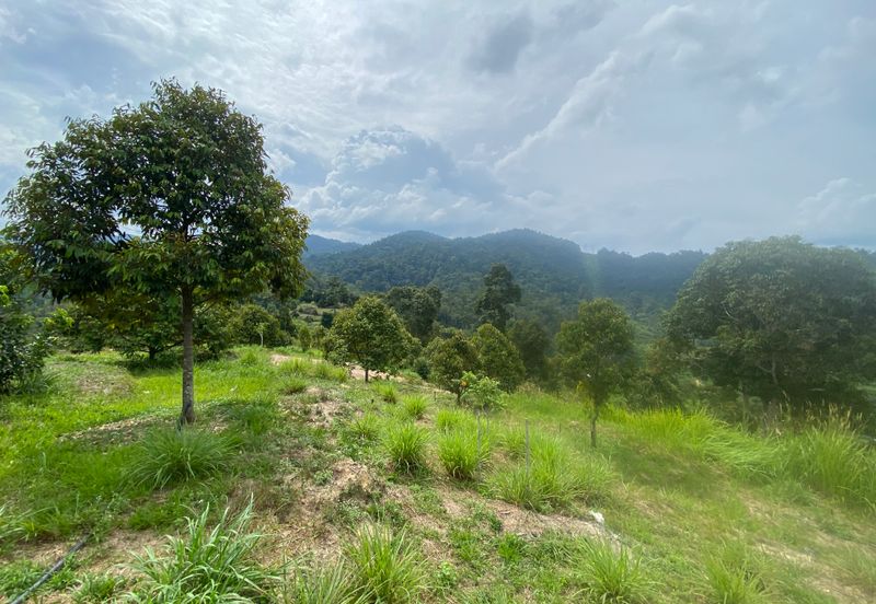 BENTONG TO KL OLD ROAD, BENTONG - KL OLD ROAD, Bentong, Bukit Tinggi 