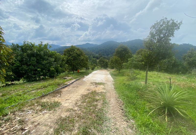 BENTONG TO KL OLD ROAD, BENTONG - KL OLD ROAD, Bentong, Bukit Tinggi 