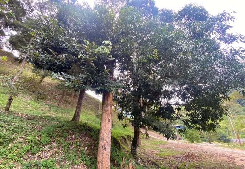 BENTONG TO KL OLD ROAD, BENTONG - KL OLD ROAD, Bentong, Bukit Tinggi 