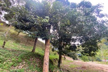 BENTONG TO KL OLD ROAD, BENTONG - KL OLD ROAD, Bentong, Bukit Tinggi 