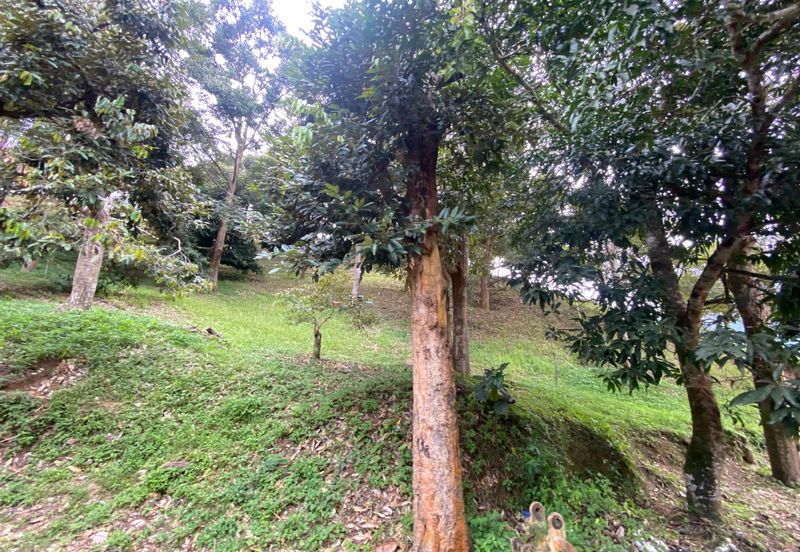 BENTONG TO KL OLD ROAD, BENTONG - KL OLD ROAD, Bentong, Bukit Tinggi 