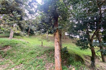 BENTONG TO KL OLD ROAD, BENTONG - KL OLD ROAD, Bentong, Bukit Tinggi 