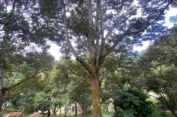 BENTONG TO KL OLD ROAD, BENTONG - KL OLD ROAD, Bentong, Bukit Tinggi 