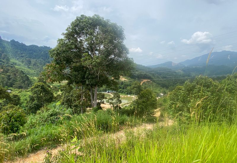 BENTONG TO KL OLD ROAD, BENTONG - KL OLD ROAD, Bentong, Bukit Tinggi 