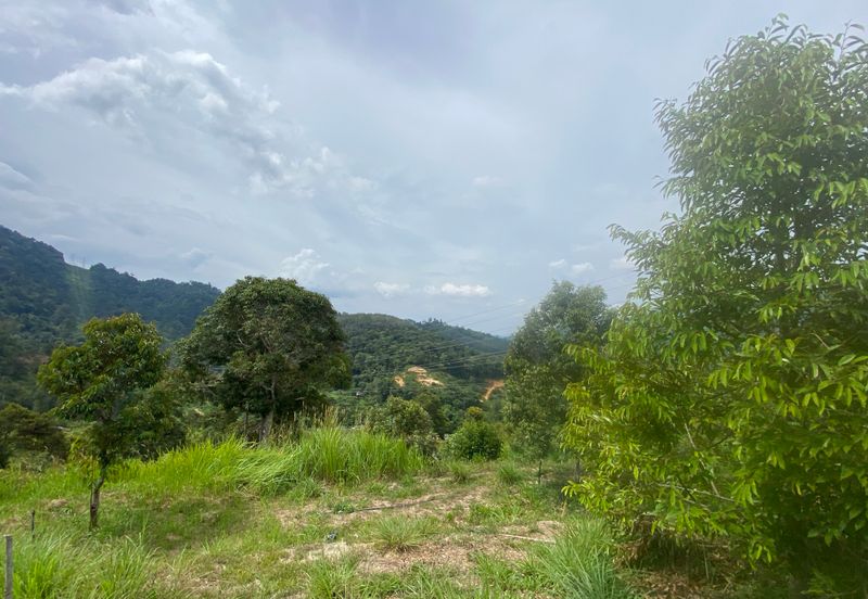 BENTONG TO KL OLD ROAD, BENTONG - KL OLD ROAD, Bentong, Bukit Tinggi 