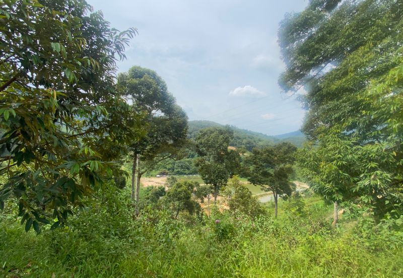 BENTONG TO KL OLD ROAD, BENTONG - KL OLD ROAD, Bentong, Bukit Tinggi 