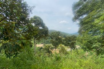 BENTONG TO KL OLD ROAD, BENTONG - KL OLD ROAD, Bentong, Bukit Tinggi 