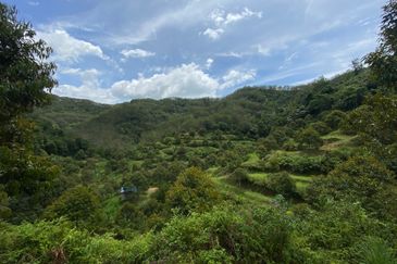 Bilut, Bentong, Sang Lee Raub, Bilut, Sang Lee, Raub , Bentong