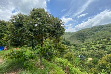 Bilut, Bentong, Sang Lee Raub, Bilut, Sang Lee, Raub , Bentong