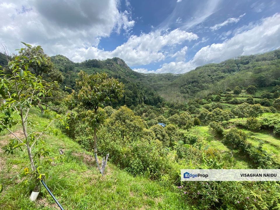 Bilut, Bentong, Sang Lee Raub, Bilut, Sang Lee, Raub , Bentong, Pahang, Bentong