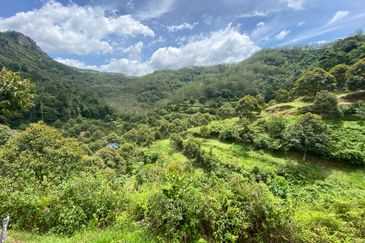 Bilut, Bentong, Sang Lee Raub, Bilut, Sang Lee, Raub , Bentong