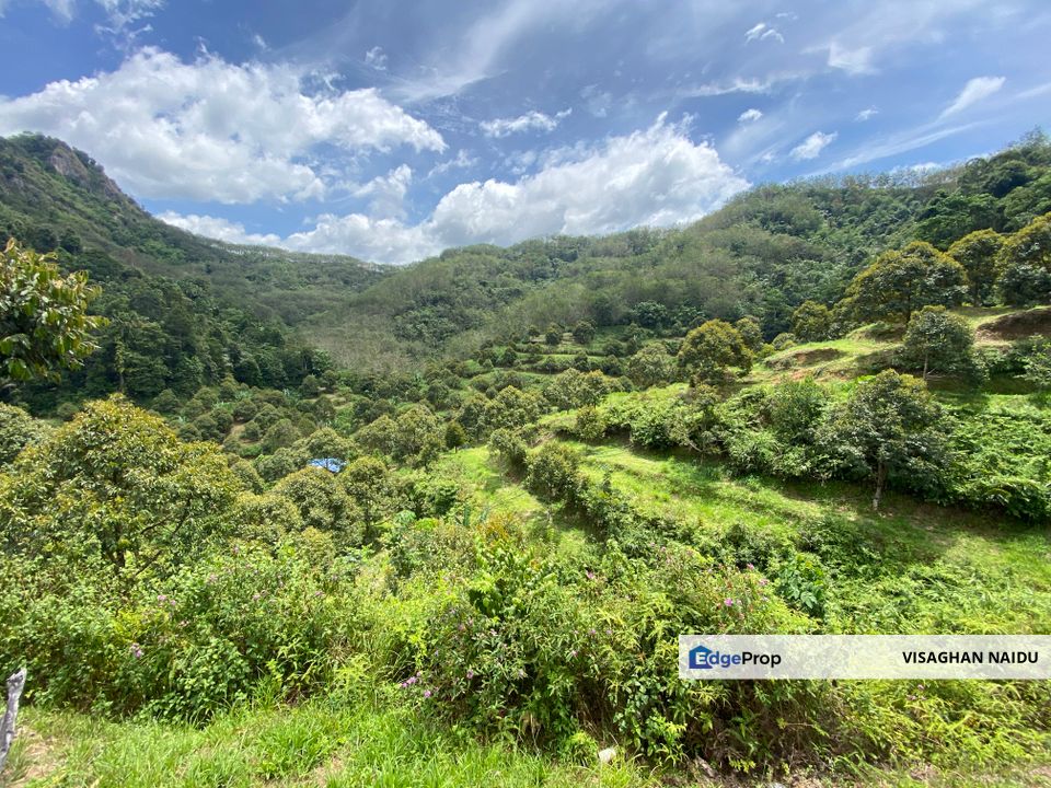 Bilut, Bentong, Sang Lee Raub, Bilut, Sang Lee, Raub , Bentong, Pahang, Bentong