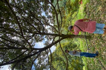 Bilut, Bentong, Sang Lee Raub, Bilut, Sang Lee, Raub , Bentong