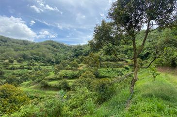 Bilut, Bentong, Sang Lee Raub, Bilut, Sang Lee, Raub , Bentong