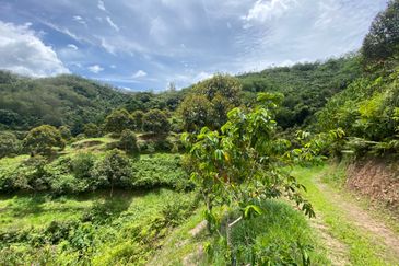 Bilut, Bentong, Sang Lee Raub, Bilut, Sang Lee, Raub , Bentong