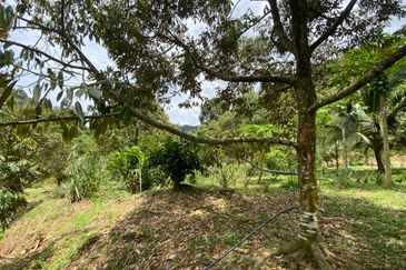 Bilut, Bentong, Sang Lee Raub, Bilut, Sang Lee, Raub , Bentong